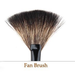 fan brush