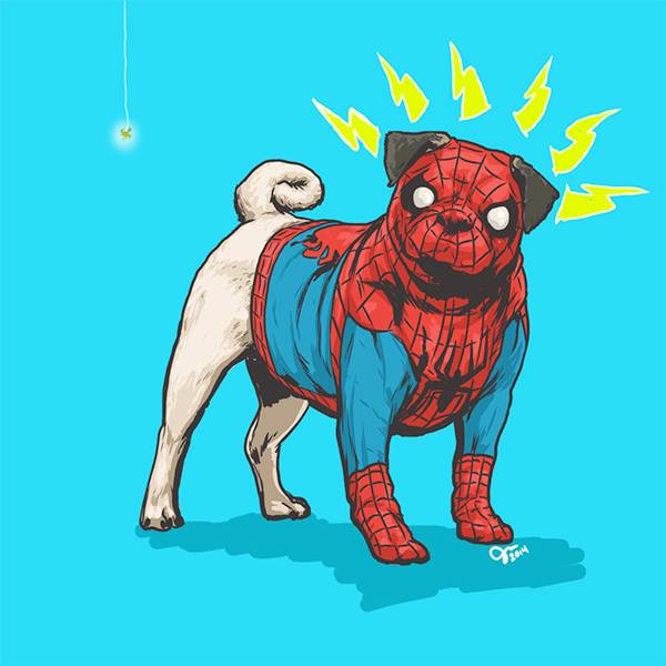 spider-dog